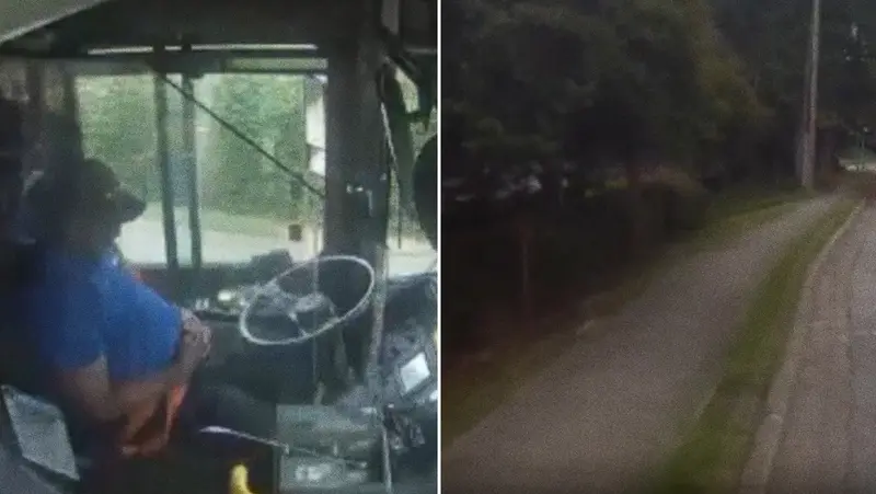 🌴🚆 **¡Atropello trágico en Georgia: el autobús que se estrelló al dormir al volante!** 🌳💥