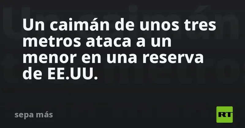 🐊 Caimán de unos tres metros muerde a un menor en reserva de EE.UU. 🚑