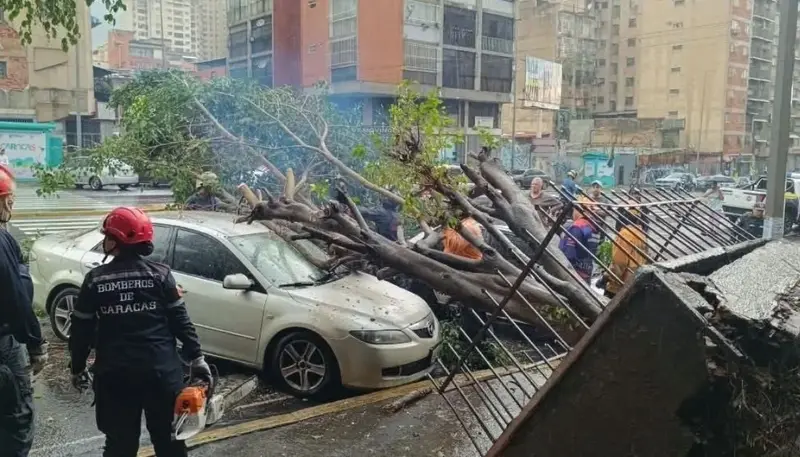 🌧️🌳⚡ Caracas bajo el agua: caen árboles, calles se inundan y el apagón acecha