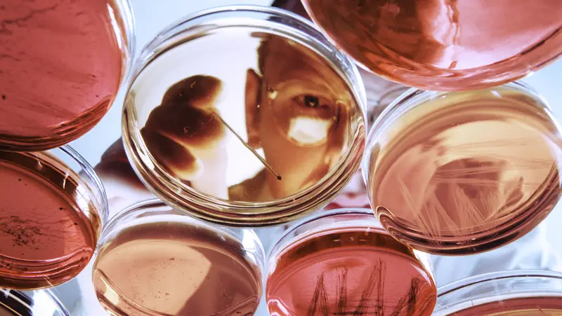 🚀💊 China apuesta fuerte: ¿Será la próxima superpotencia de la biomedicina para 2030? 🌍🔬