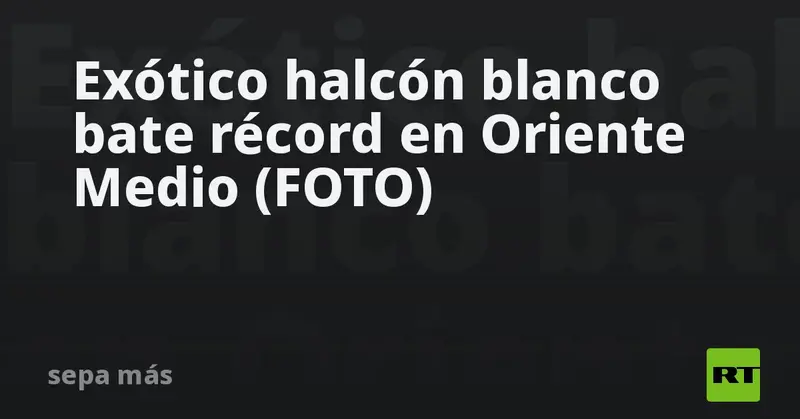 🏆 ¡Gerifalte blanco rompe récord en Abu Dabi y deja a todos boquiabiertos! 🦅💰