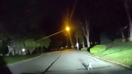 🐶🚨 ¡Heroico canino alerta a policías y los guía hasta su dueño herido en Kansas! 🚑💙