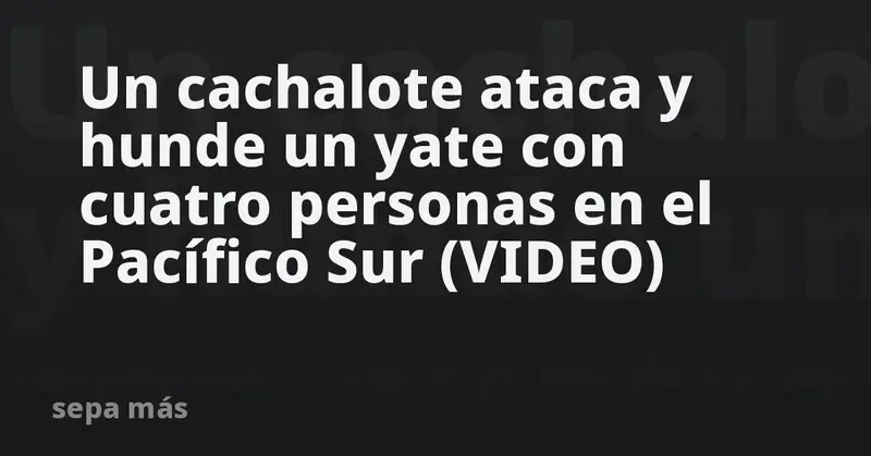 🐋💥 ¡Impactante! Cachalote ataca y hunde yate australiano en el Pacífico Sur: 4 naufragos sobreviven 18 horas en balsa