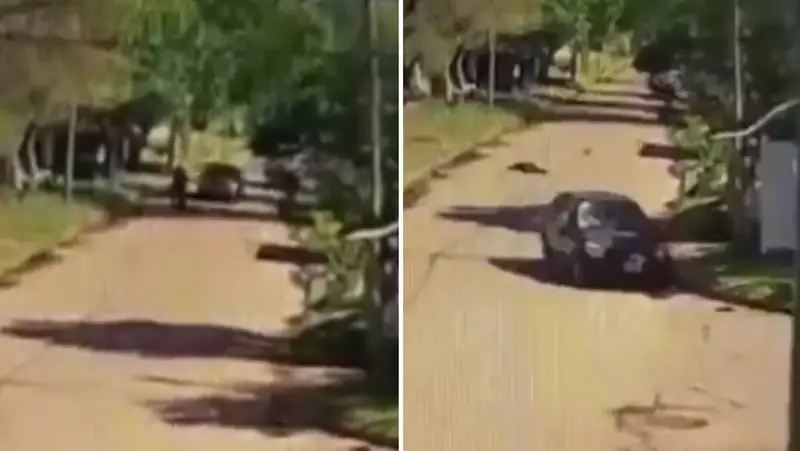 🚨 ¡IMPACTANTE! 😱 Discusión entre amigos termina en atropello por la espalda en Temperley