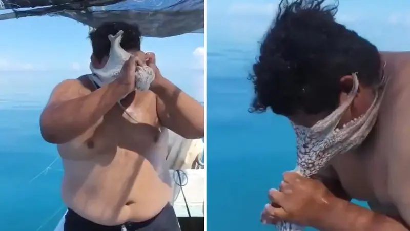 🐙😱 ¡Impactante! Un pulpo se aferra al rostro de un pescador en Yucatán 🎣