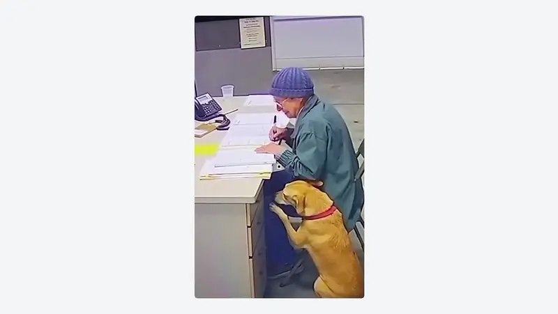 💔🐕😢 Maracaibo: Abuela de 76 años se despide emocionalmente de su perro Teddy al entregarlo a un refugio por su mudanza a un hogar de ancianos (📹)
