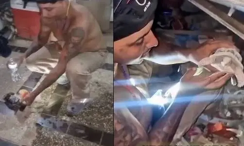 ¡Milagro en La Guaira! 🐢✨ Rescatan viva a una tortuga tras 69 días del terremoto 🌊💙