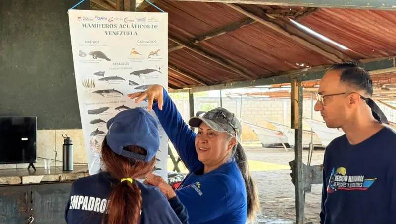 🌊 ¡Pescadores zulianos al frente! Reciben formación para proteger a los mamíferos marinos 🐬🇻🇪