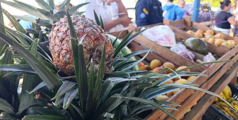 🌾✨ ¡Zulia en acción! 5.000 familias beneficiadas con Campo Soberano y Bodega Móvil 🛒💙