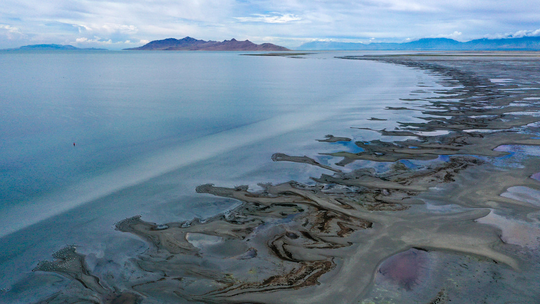 El húmedo origen detrás de las misteriosas 'islas vivientes' del Gran Lago Salado