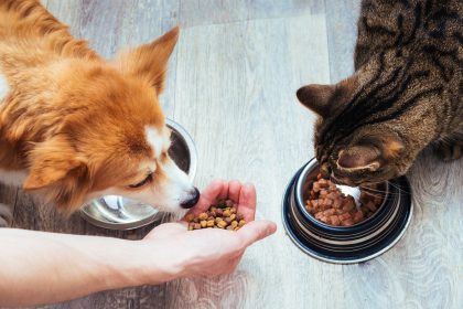 ¿Por qué lo que comen nuestras mascotas puede afectar a toda la familia?