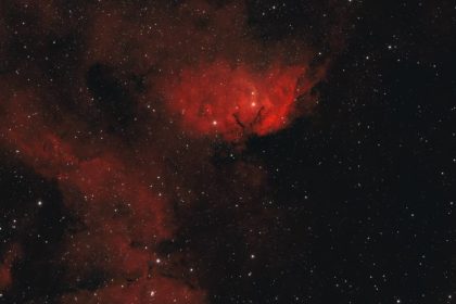 FOTOS: Roscosmos muestra 'flores' espaciales la víspera del Día Internacional de la Mujer