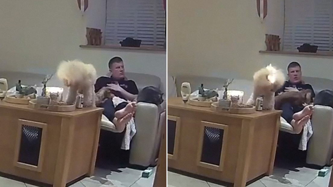 VIDEO: Perro se prende fuego con una vela días antes de asistir a una exposición