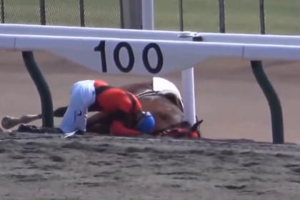 'Siempre fiel': Un jinete y su caballo protagonizan un momento conmovedor en plena pista (VIDEO)