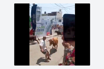 VIDEO: Hombre termina corneado durante una corrida de toros en Perú