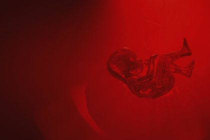 Crean máquina que podría dar inicio a la gestación fuera del cuerpo humano