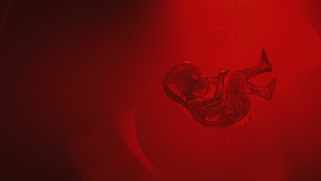 Crean máquina que podría dar inicio a la gestación fuera del cuerpo humano