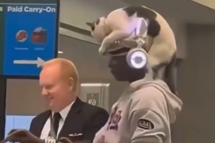 VIDEO: Pasajera de avión con un gato de 'sombrero' acapara las redes