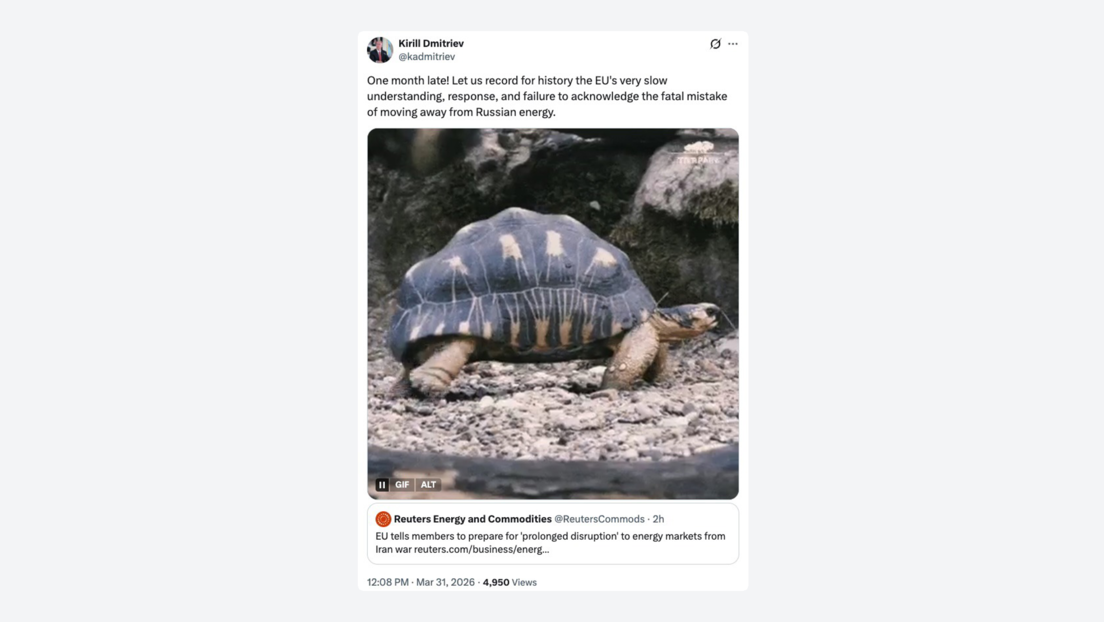 Enviado de Putin se burla con una tortuga de la "lentitud" de la UE para reconocer su "fatal error" energético