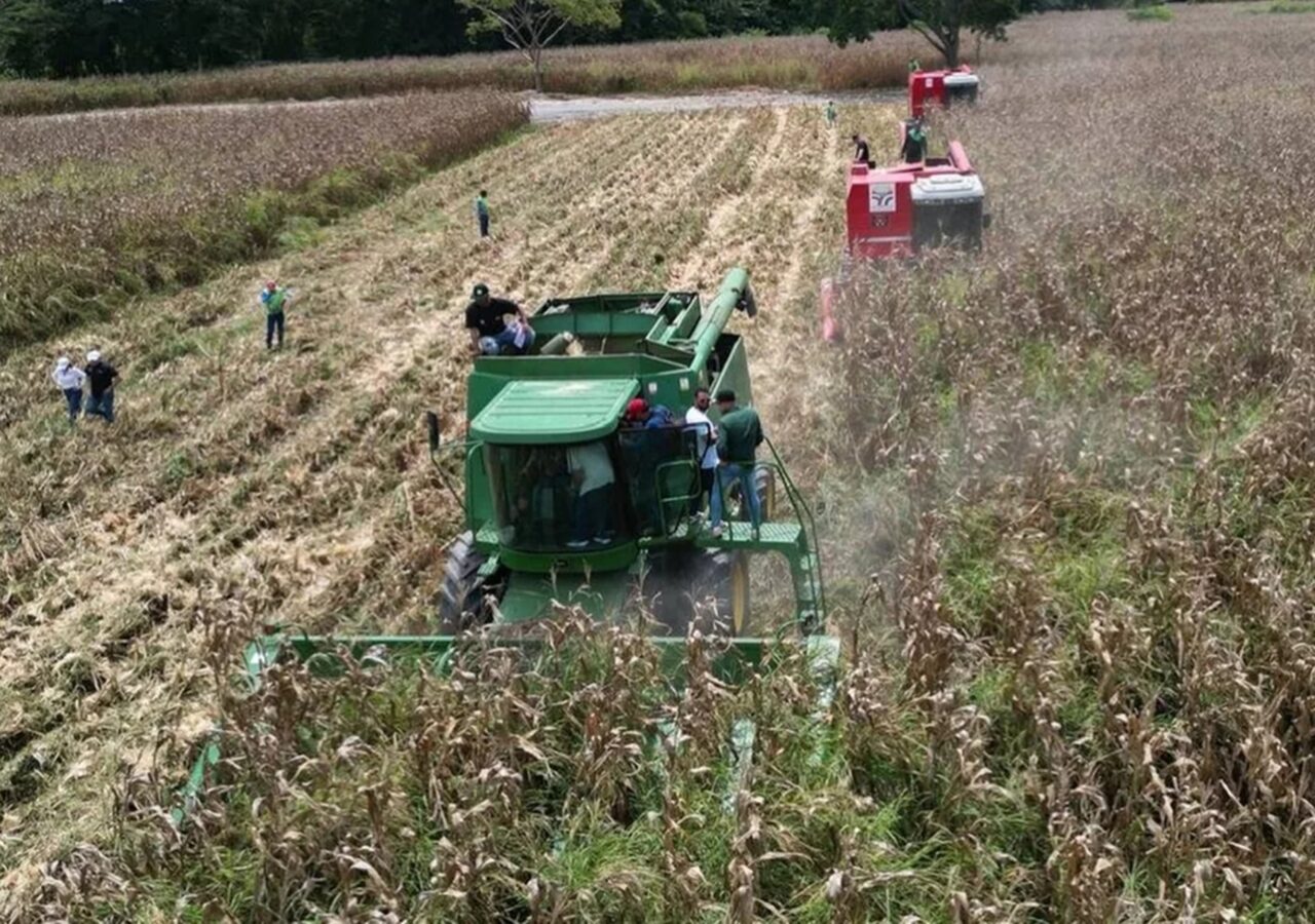 Gremio agrícola espera reforma de la Ley de Tierras para impulsar inversión en Venezuela