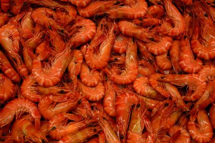 Un peligroso virus que antes solo afectaba a animales acuáticos ahora puede transmitirse a humanos