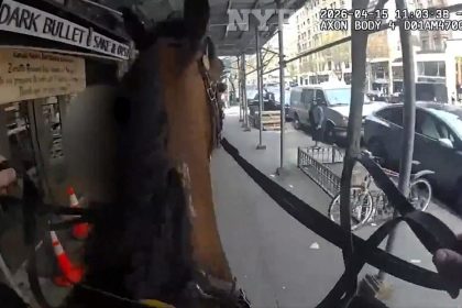 Como en el salvaje Oeste: un policía a caballo atrapa a un ladrón en pleno centro de Nueva York