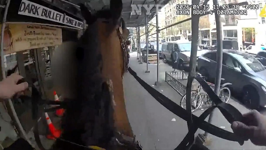 Como en el salvaje Oeste: un policía a caballo atrapa a un ladrón en pleno centro de Nueva York