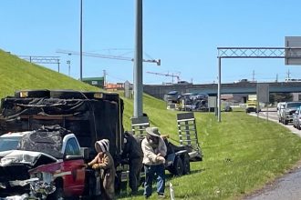 VIDEO: Un millón de abejas invaden una importante carretera de EE.UU. tras estrellarse un camión