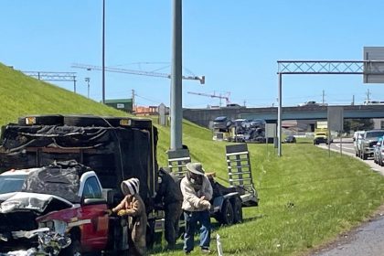 VIDEO: Un millón de abejas invaden una importante carretera de EE.UU. tras estrellarse un camión