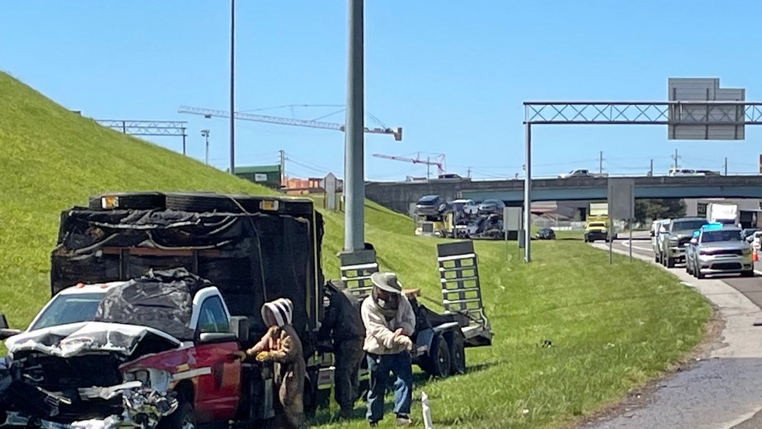VIDEO: Un millón de abejas invaden una importante carretera de EE.UU. tras estrellarse un camión