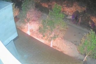 VIDEO: Colonos israelíes prenden fuego a una vivienda palestina