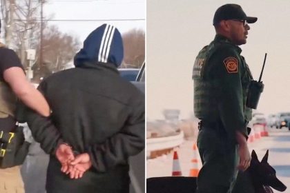 "¿Qué olvidaste en mi pantano?": Casa Blanca sorprende con video sobre migrantes 'a lo Shrek'