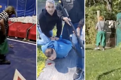 Un circo, un narco y payasos: así fue un inusual operativo encubierto en Argentina (VIDEO)