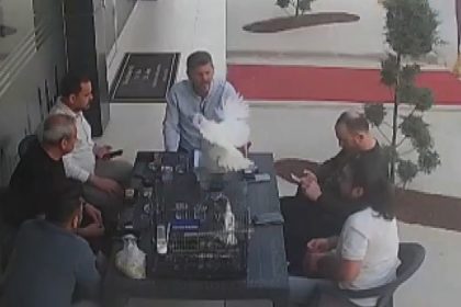 Captura de pantalla