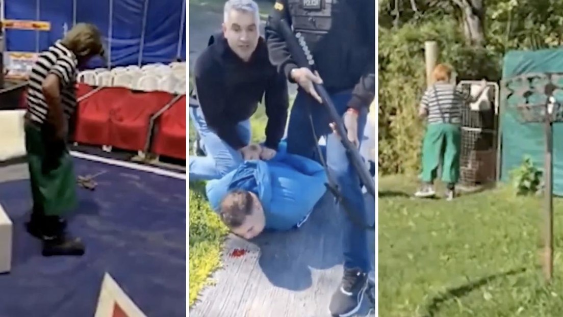 Un circo, un narco y payasos: así fue un inusual operativo encubierto en Argentina (VIDEO)