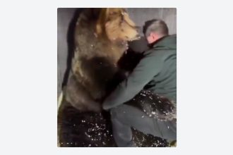 VIDEO: Oso cree que veterinario lo abraza al medirlo y su reacción enamora