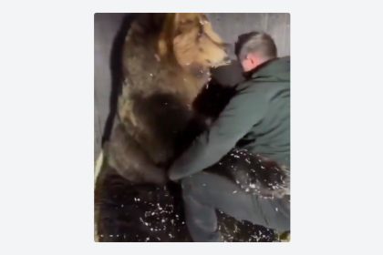 VIDEO: Oso cree que veterinario lo abraza al medirlo y su reacción enamora