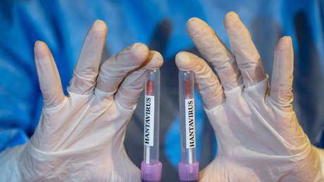 La OMS da una recomendación a Argentina sobre el hantavirus y desata la furia del Gobierno de Milei