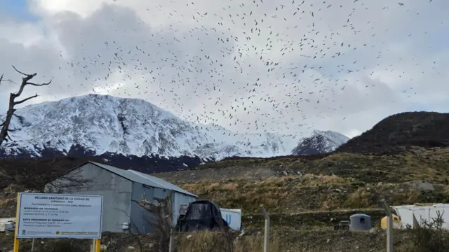 Basurero donde se ven varias aves volando con una montaña de fondo