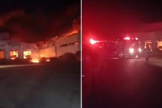 VIDEO: Voraz incendio consume una fábrica avícola en México