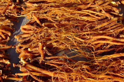 Expertos revelan un milenario secreto a favor de la salud intestinal