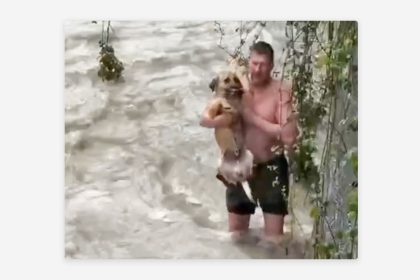 VIDEO: Salva a un perro de morir en un río embravecido