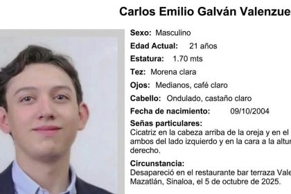 "Cuídenlo": una madre lanza un desgarrador mensaje a los secuestradores de su hijo en México