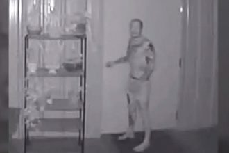 Notaron algo extraño en casa, bajaron al sótano y el hallazgo fue perturbador
