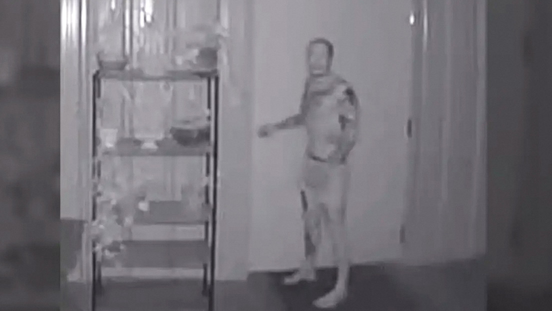 Notaron algo extraño en casa, bajaron al sótano y el hallazgo fue perturbador