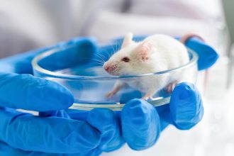 Los mitos más preocupantes acerca de hantavirus: ¿son verdad?