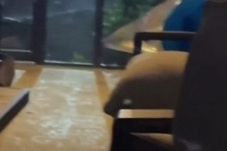 Un 'intruso' en casa resulta ser algo mucho más impactante (VIDEO)