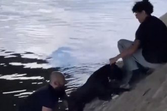 El conmovedor gesto de transeúntes parisinos con un perro atrapado en el río (VIDEO)