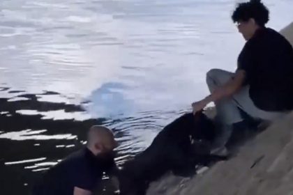 El conmovedor gesto de transeúntes parisinos con un perro atrapado en el río (VIDEO)