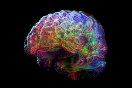 Un inesperado descubrimiento podría cambiar lo que se sabe sobre el cerebro de los recién nacidos